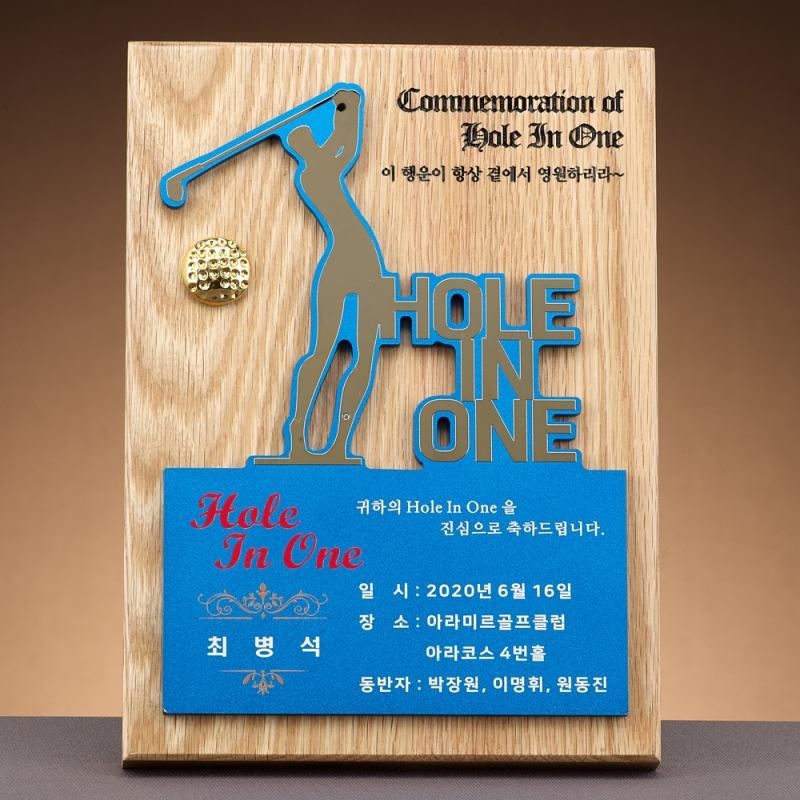 ���� �ݼ� Ȧ�ο� �� SAM24W025