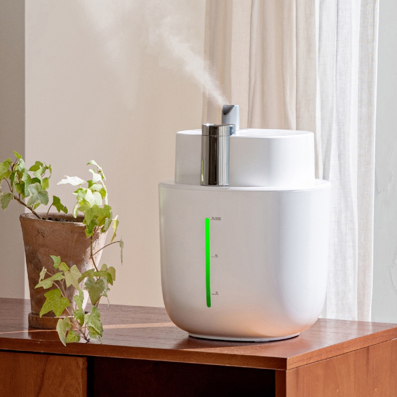 �������˹� ������ ��뷮 ������ ���÷��� ��� ������ ������ P6 6���� ��ǰ ����