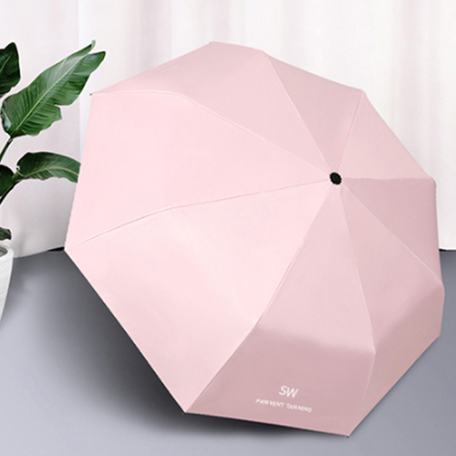 �÷κ�� ���� ���ϸ� �ڵ� �ϸ� ����