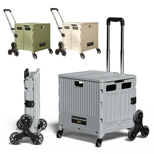 ���ڹ�/���ι� ��ٱ���/ĳ���� ĳ���� ��ٱ��� ���丮�� ���̽� īƮ 8�� ���� ���� ��ǰ ����