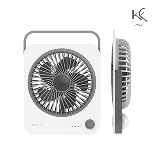 ī�� ������ ���� ���� ��ǳ�� KF-DF04