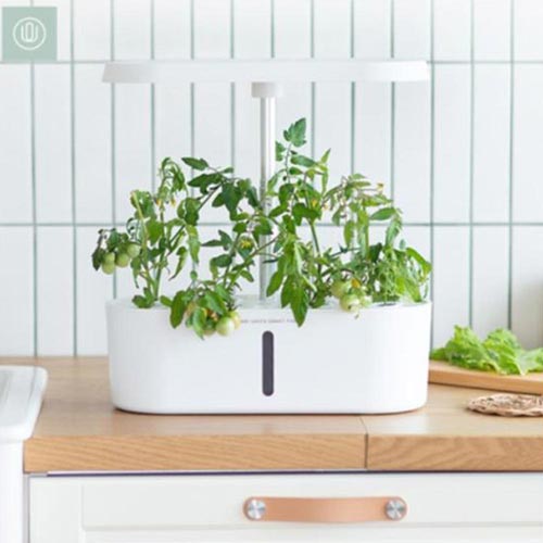 ������ Ȩ�׸� �Ĺ�����