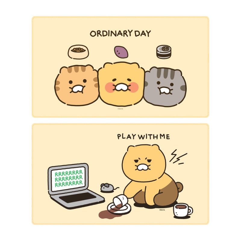 ǻ����ġ �� �ټ� īī�������� ����� �� ���е� ����ũ�е� KFP200 ��ǰ ����