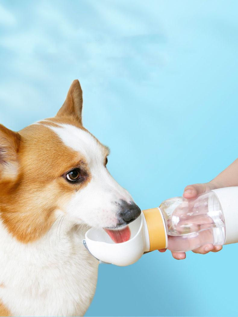 Ȩ/���׸����ǰ �ֿϿ�ǰ ���������� ��������å���� 600ml �޴�� ��å���� ��ǰ ����