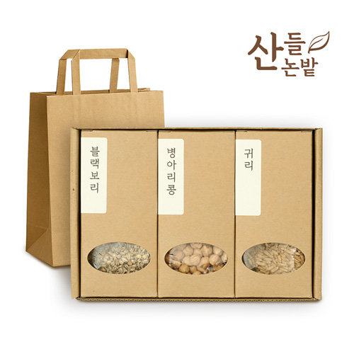 ������ ������� 3����Ʈ