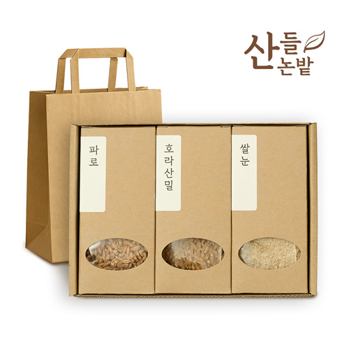 ������ ����Ǫ�� 3����Ʈ