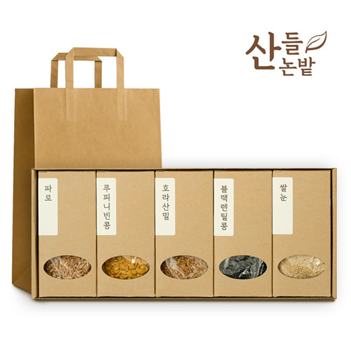 ������ ����Ǫ�� 5����Ʈ