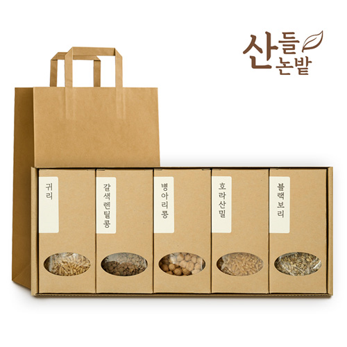 ������ �Ǽ�ȥ�� 5����Ʈ