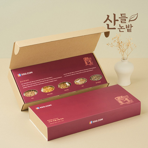 ������ ���� 5����Ʈ+������Ű��