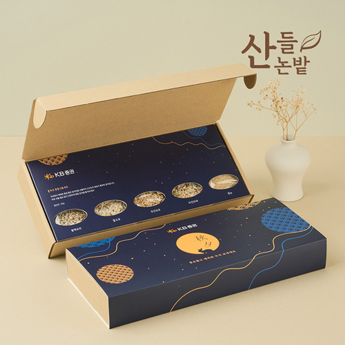 ������ ����ȥ�� 5����Ʈ+������Ű��