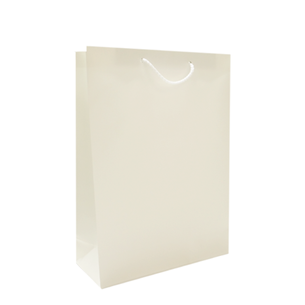 ���ڹ�/���ι� ���̼��ι� ���̼��ι�(�⼺) ���� ���̼��ι� 1ȣ(���) (1����-50EA)(300x110x400mm) ��ǰ ����