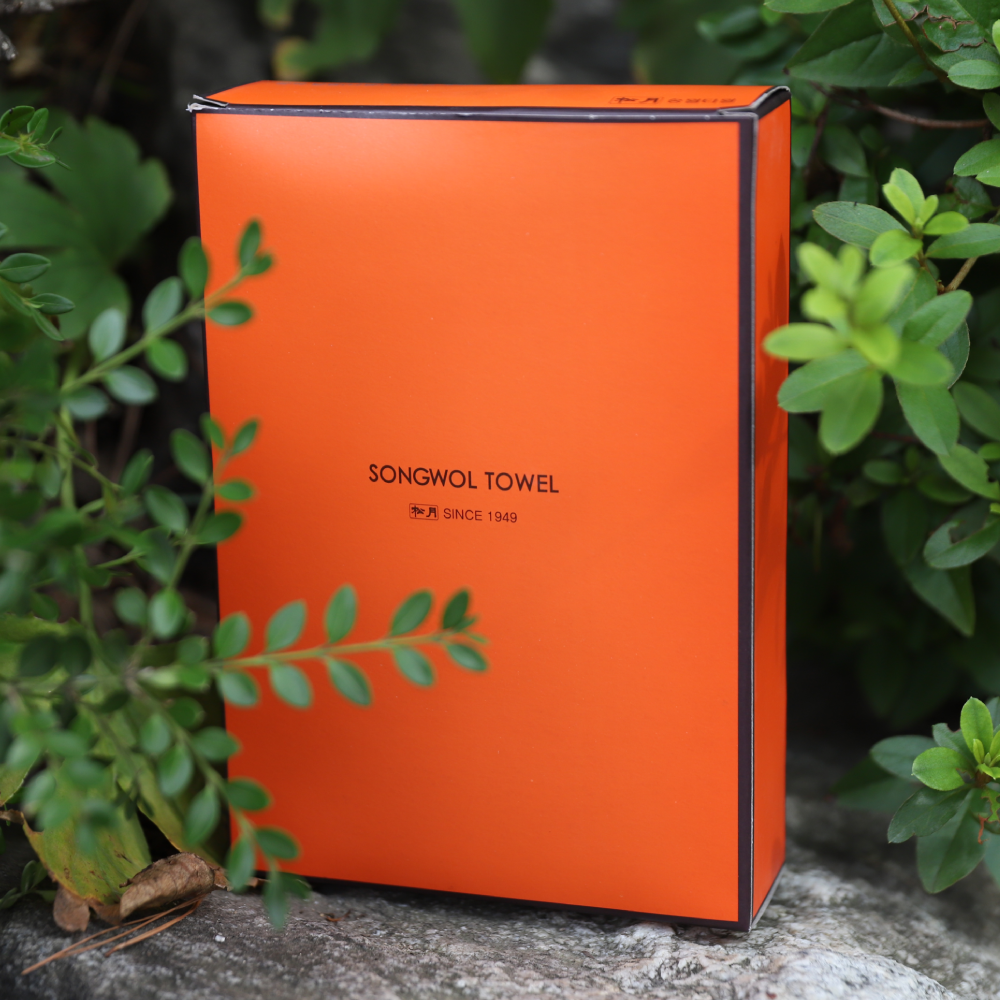 �ڽ�/��Ű�� �ܻ���/Į��ڽ� �ܻ��� ���� Ÿ�� �÷� �ܻ��� ��ǰ ����