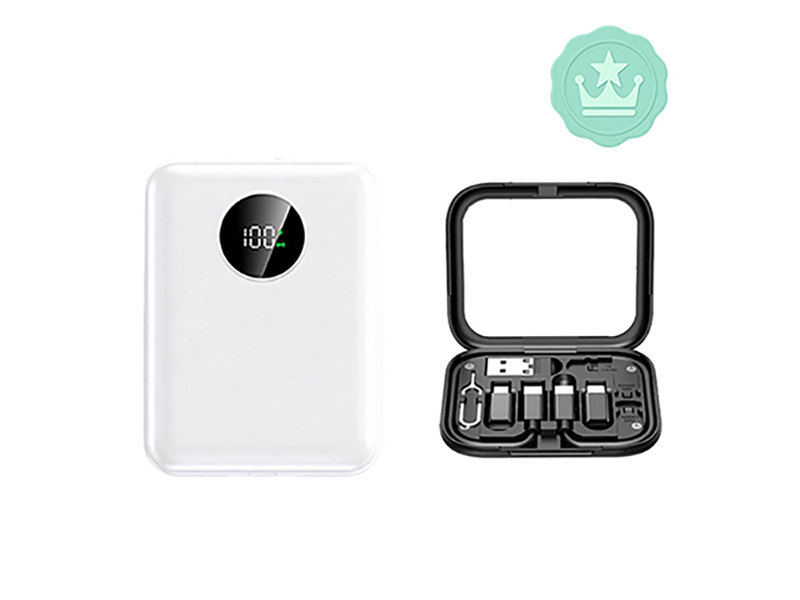 ��Ÿ�Ǿ� �Ŀ�����Ʈ ���2 �Ƽ����� �������͸� 10000MAH