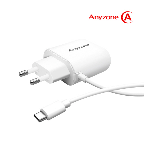 �ִ��� C-TYPE ������ ������ ANY-CA10W