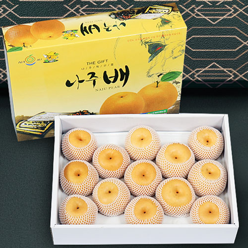 ��ǰ/���� ��Ÿ/���˽�ǰ [����ٸ�����] �� ������Ʈ 2ȣ 7.5kg(11~13��) ��ǰ ����