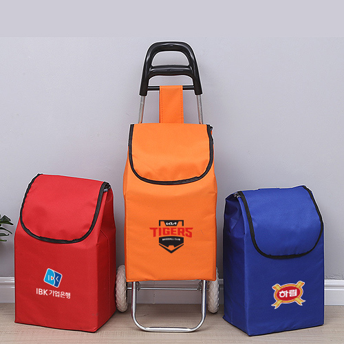 ���ڹ�/���ι� ��ٱ���/ĳ���� ĳ���� ��ٱ��� īƮ�� ���߱׸� ��ٱ��� Z292 ��ǰ ����