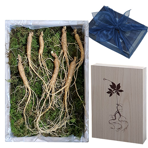 ��ǰ/���� ��Ÿ/���˽�ǰ ȿõ ���� ����� 7��� 7�Ѹ� ������Ʈ ��ǰ ����