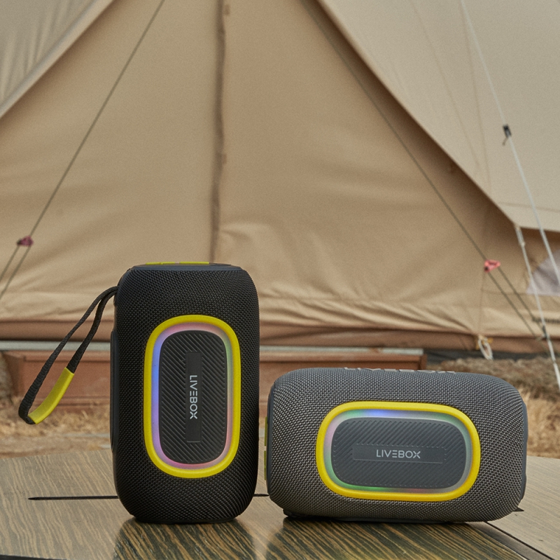 ���̺�ڽ� ���� �������� ����Ŀ BS2020