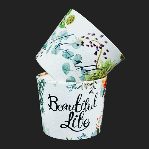 ��ƼǮ 2�� ����Ȧ�� (1�ڽ�/500����)