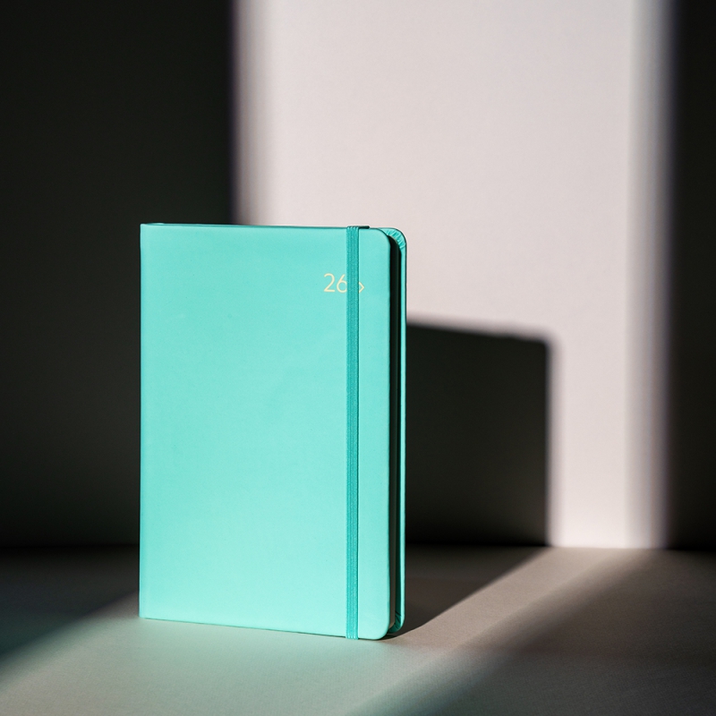 2026 DV PRO3 32�� ���̾