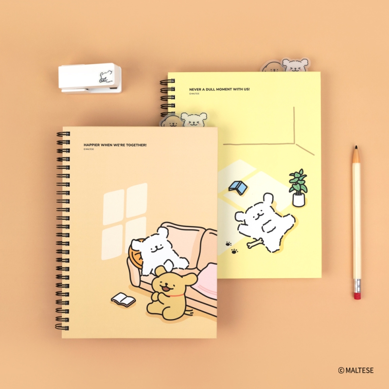 ���̾/��ø/��Ʈ ģȯ���ø/��Ʈ [��Ƽ��] A5 PP �ε��� ������ ��Ʈ ��ǰ ����