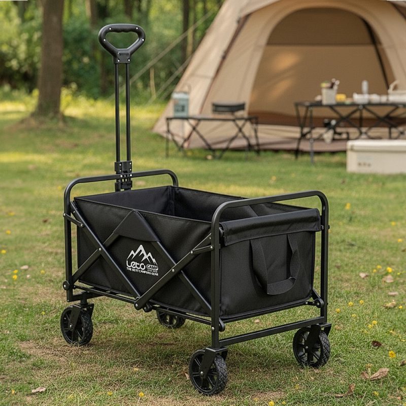 ���� ���� ���̽� ķ�ο��� īƮ LCP-W01 ��ǰ ����