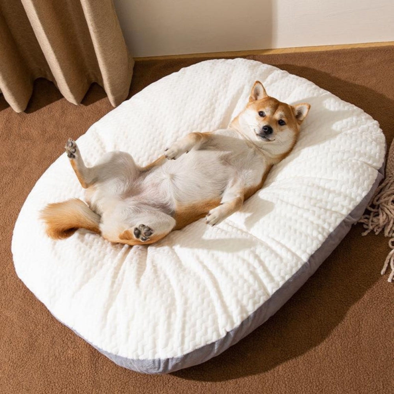 Ȩ/���׸����ǰ �ֿϿ�ǰ ���� ������ ������ �漮 ������ ������ ���� ��ǰ ����