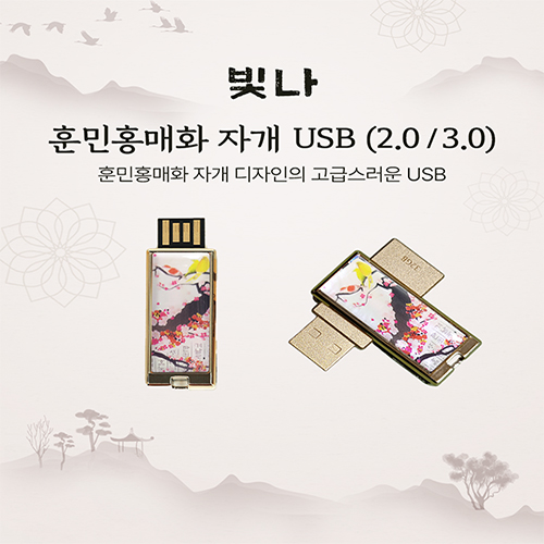 ���� �ƹ�ȫ��ȭ �ڰ� USB�޸� (USB2.0) 8GB~128GB