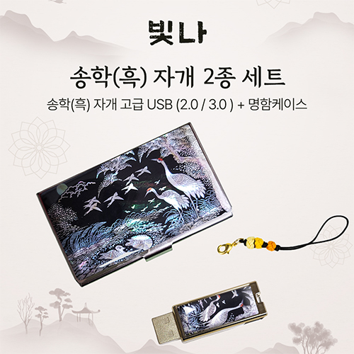 ���� ���� �� 2����Ʈ (�������̽�+USB�޸� USB2.0 8GB~128GB)