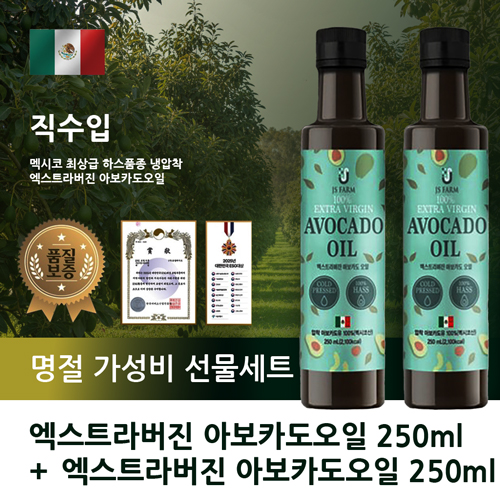 �߽����Ͻ� ����Ʈ����� �ƺ�ī������2�� ������ ������Ʈ