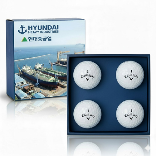 [����]Ķ������ CXR��Ʈ�� 4����Ʈ