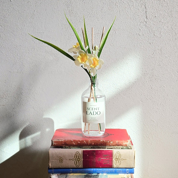 ��Ʈ�� ��ǻ�� ��õ� ����ȭ 200ml