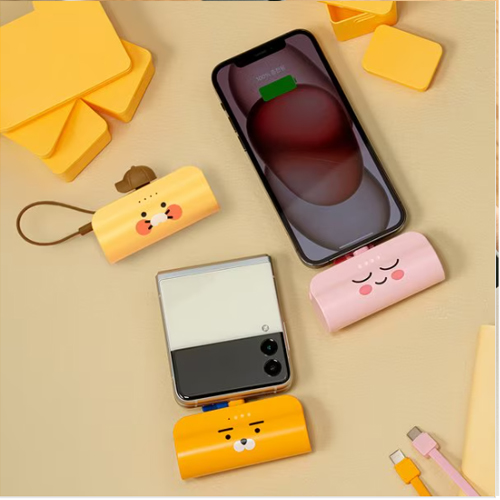 īī�������� ��ŷ�� �������͸� 5000mAh