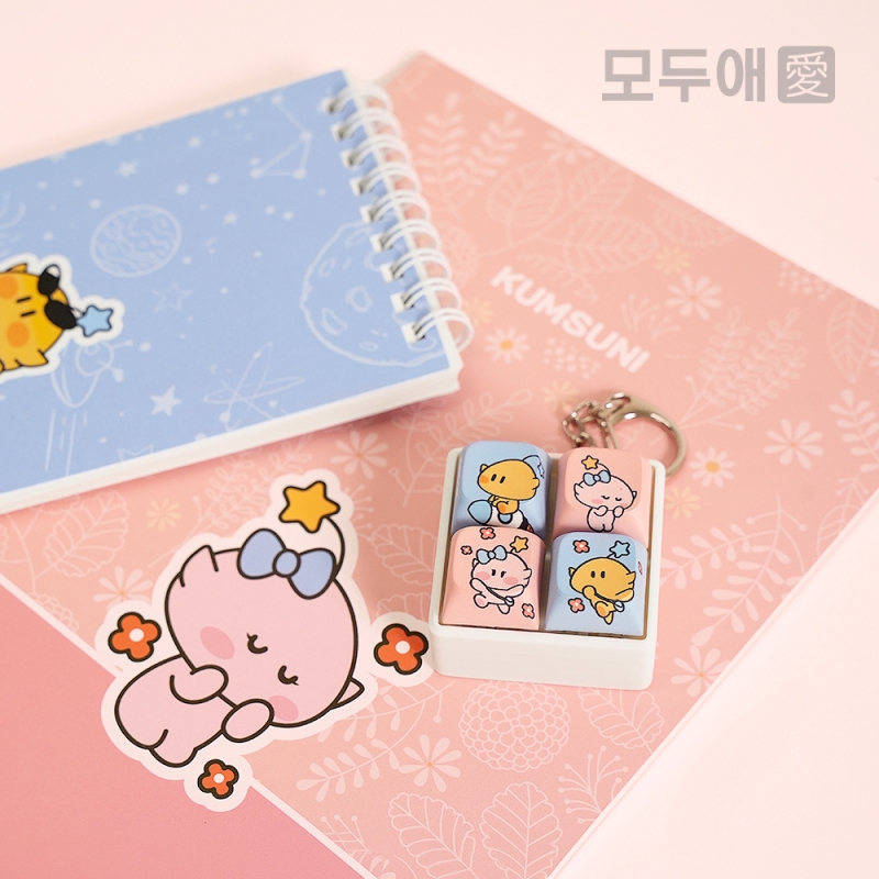 �м�/�̿��ǰ/������� �������/Ű�� ĳ���Ϳ������ ��ξ� Űĸ Ű�� ���� ��ǰ ����