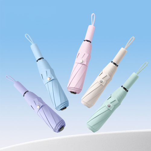 ������Ŀ �Ľ��ڸ� 8K 3�� ���� ����