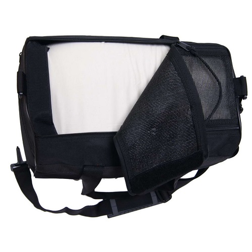 ��ǰ ����