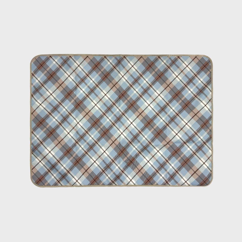 ��ǰ ����