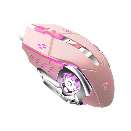 ��ǰ ����