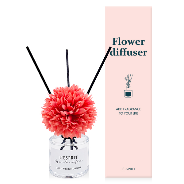 ��ǰ ����