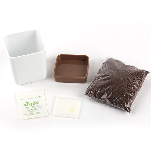 ��ǰ ����