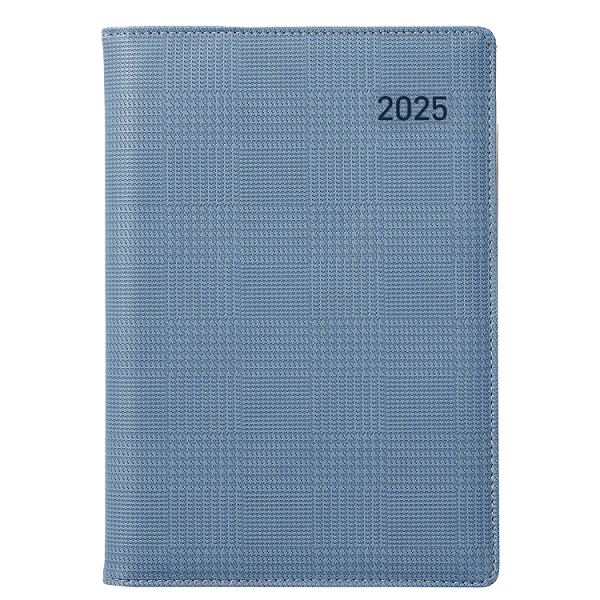 ��ǰ ����