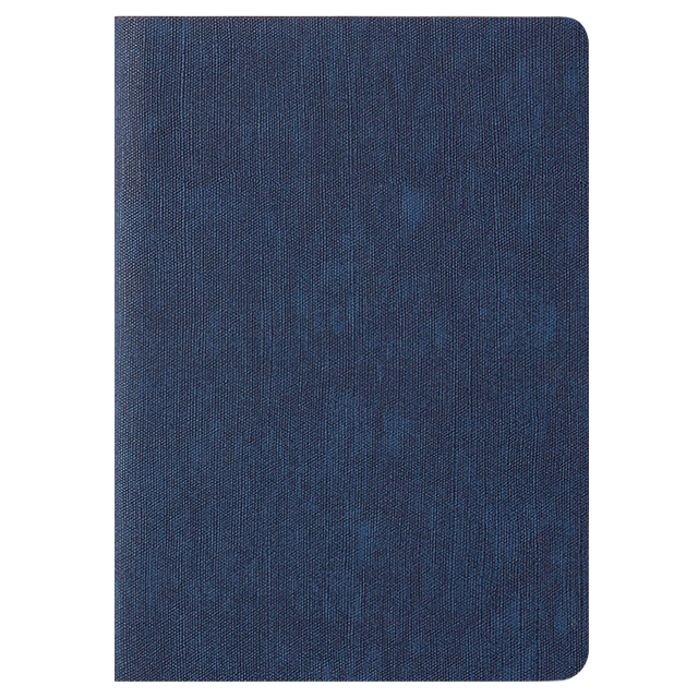 ��ǰ ����