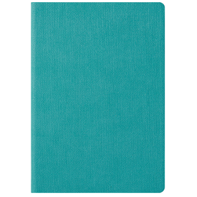 ��ǰ ����