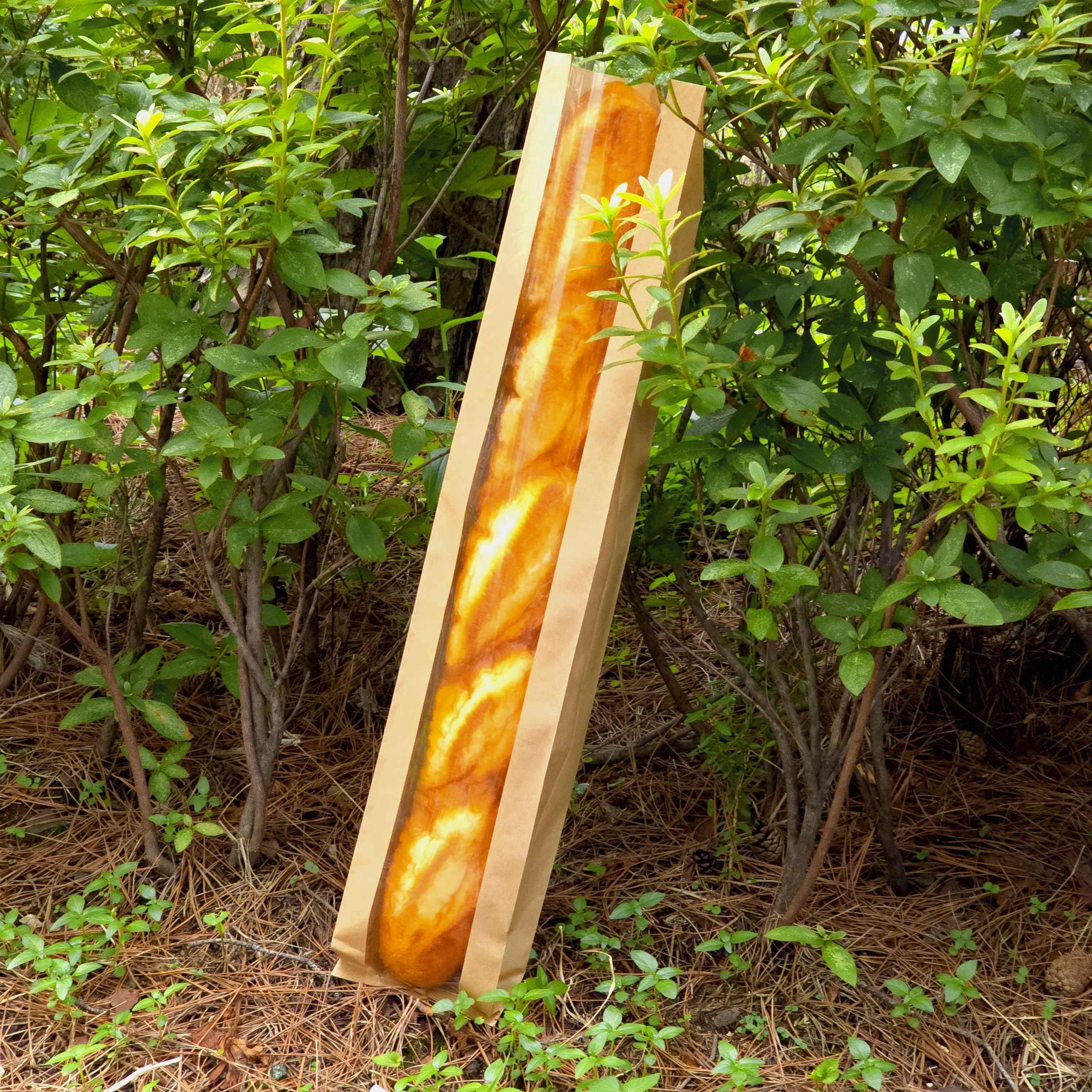 ��ǰ ����