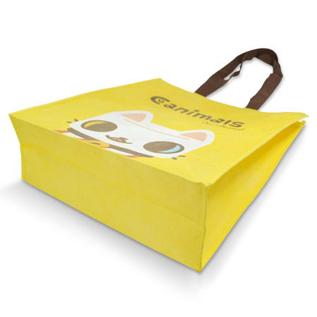 ��ǰ ����