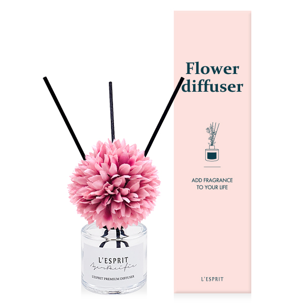 ��ǰ ����