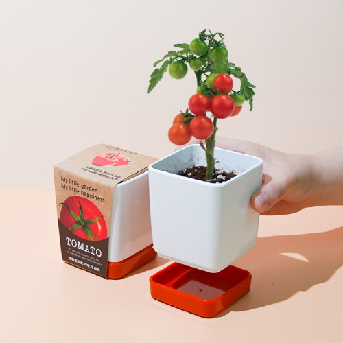 ��ǰ ����