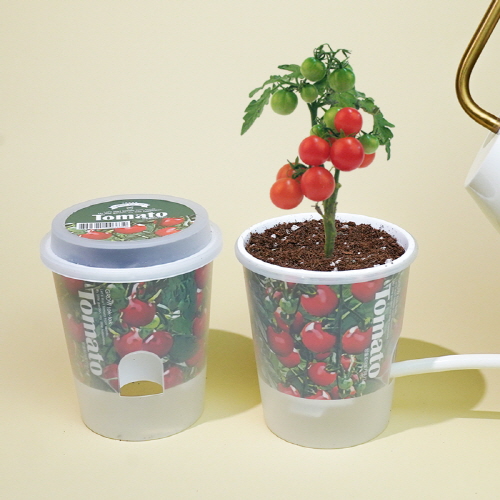 ��ǰ ����