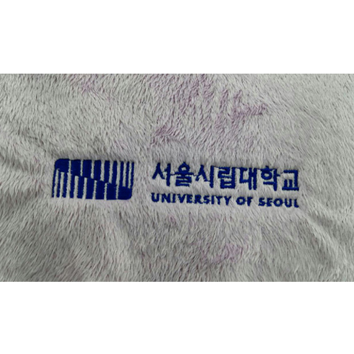 ��ǰ ����