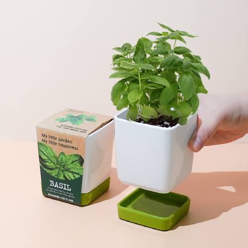 ��ǰ ����